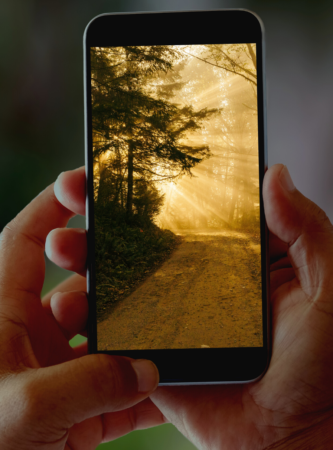 Is path warm holding up a phone looking at a warm photo of a trail leading around a corner